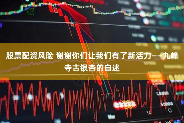 股票配资风险 谢谢你们让我们有了新活力——九峰寺古银杏的自述