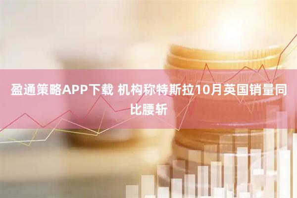 盈通策略APP下载 机构称特斯拉10月英国销量同比腰斩