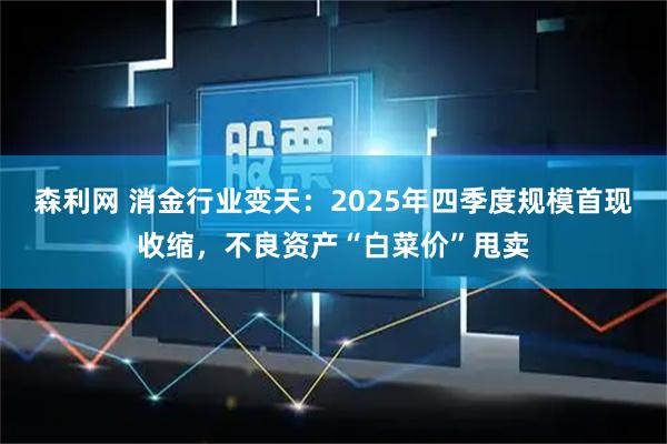 森利网 消金行业变天：2025年四季度规模首现收缩，不良资产“白菜价”甩卖